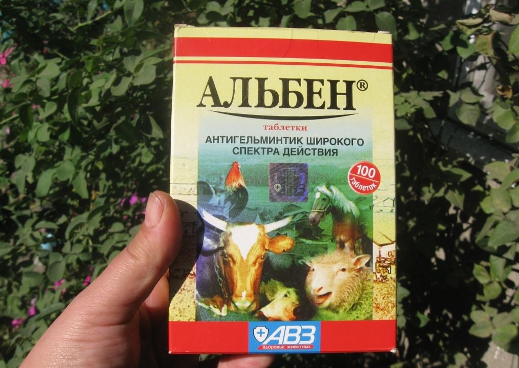 Альбен: инструкция по применению для животных, противопоказания и побочные действия, цена и аналоги