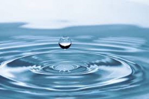 Какой водой поить попугая - подбираем качество и температуру