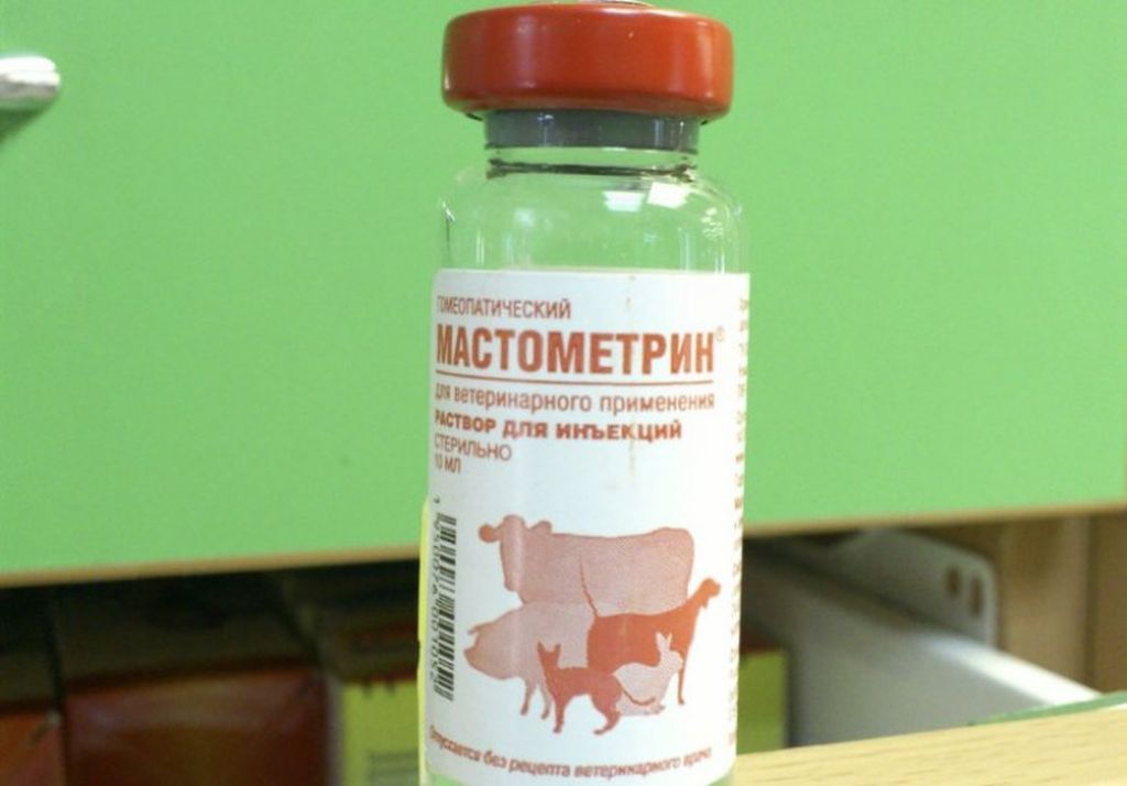 Мастометрин: инструкция по применению в ветеринарии, дозировка для кошек и собак, побочные действия