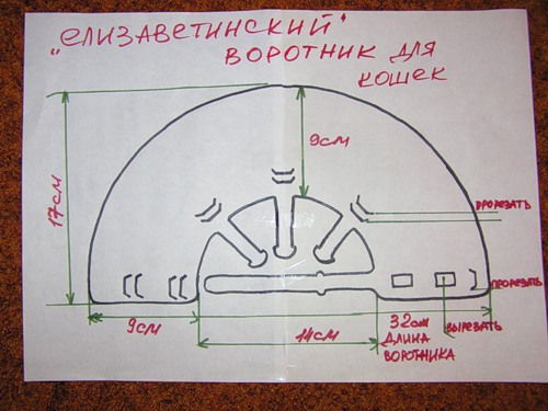 Защитный воротник для кошек (инструкция и сделать самостоятельно)
