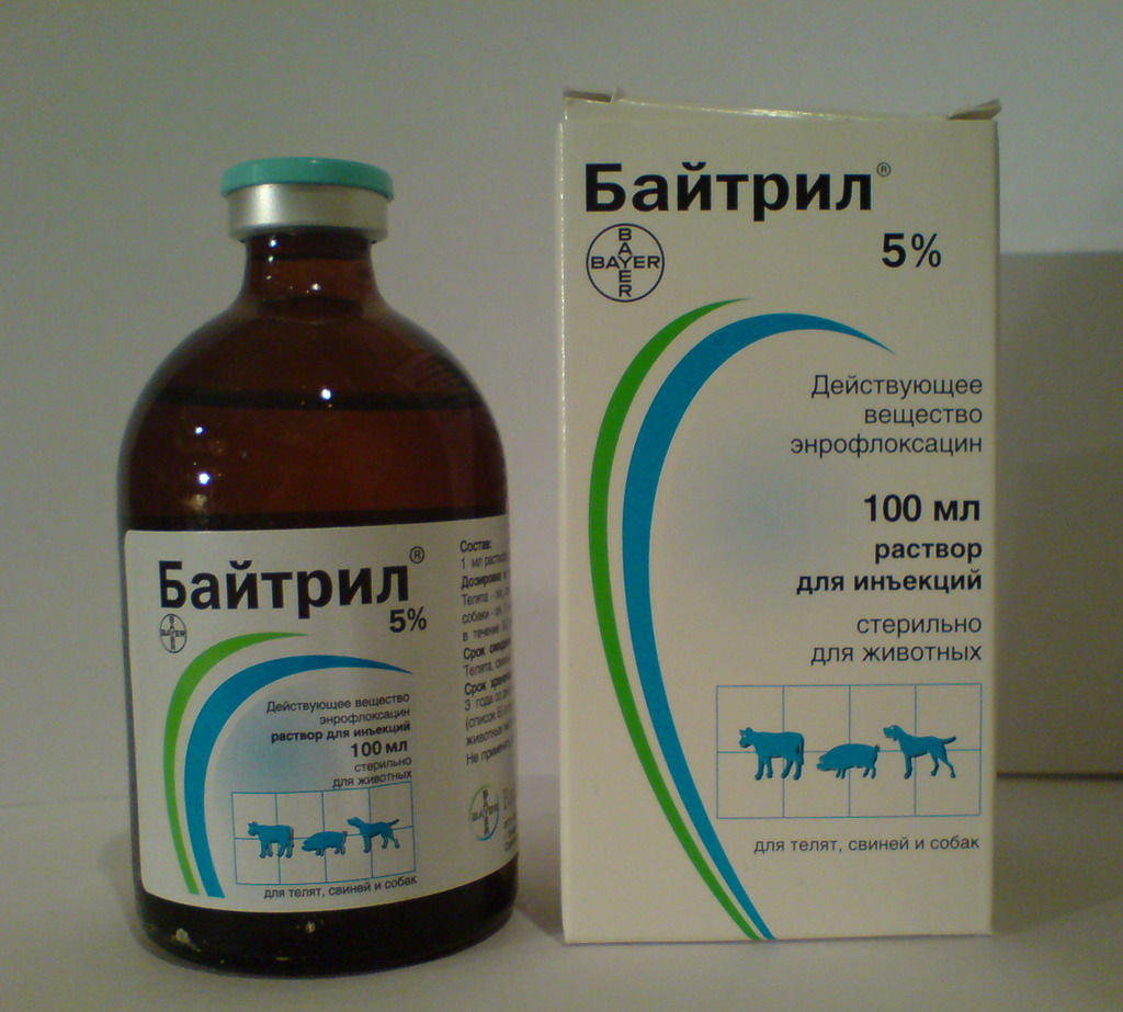 Энромаг для собак: инструкция по его применению в ветеринарии