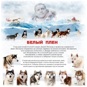 Рецензия фильма Съемки фильма